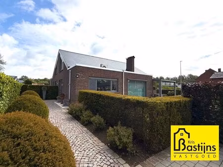 maison à vendre à halen € 498.000 (lpmtw) - kris bastijns vastgoed | zimmo