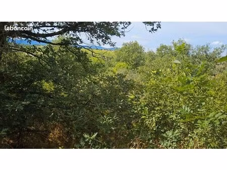terrain de 10800 m² non constructible à maclas (42) – vente ou échange