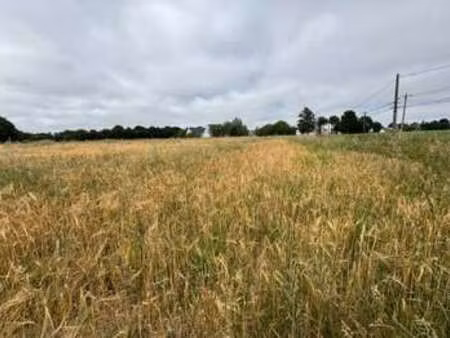 vente terrain à pleumeleuc (35137) : à vendre / pleumeleuc