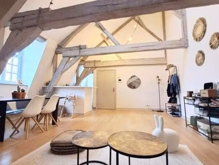 appartement hôtel particulier vieux-lille
