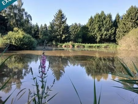 terrain 4685 m² etouvelles