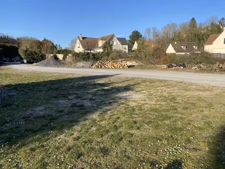 terrain