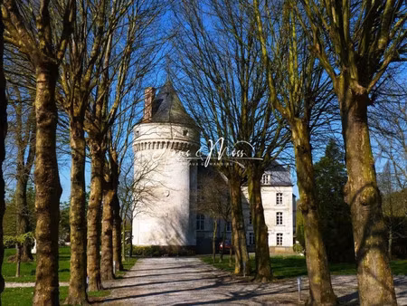 château à vendre à saint-omer