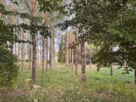 irodouër