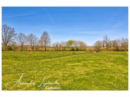 terrain à vendre montauban 5575m2 214 000€