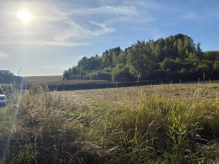 terrain constructible dans un cadre verdoyant