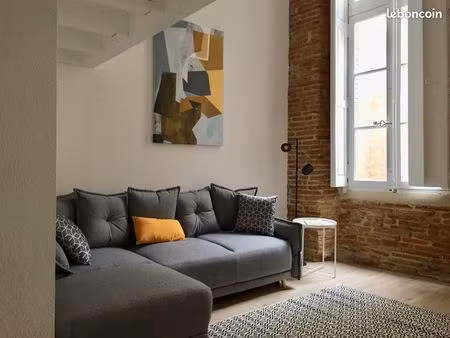 loue t1bis quartier capitole