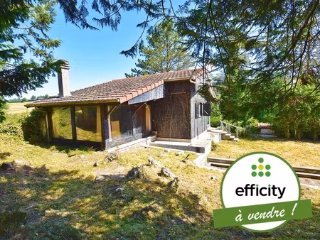 maison 2 pièces - 49 m²