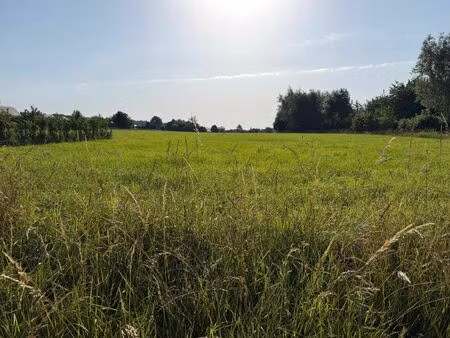 terrain à vendre à rue des monthys thy-le-château (vbe40222)