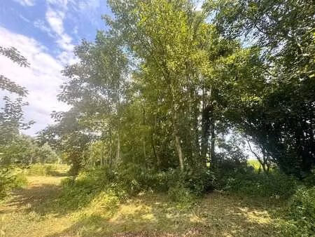 terrain en zone forestière de 2 ha 15 a 25 ca.