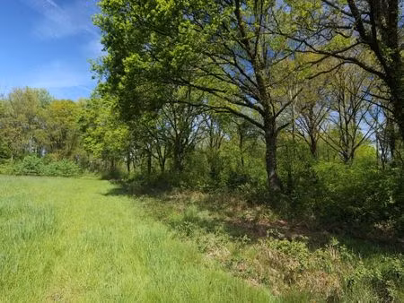 terrain à vendre à rillaar € 45.000 (lpq3g) - era janssens & janssens (tielt-winge) | zimm