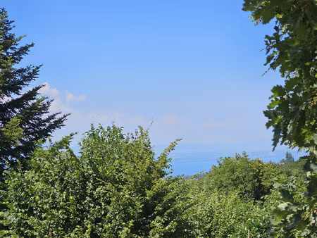 terrain viabilise de 155om2