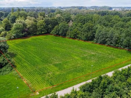 terrain à vendre à duffel € 75.000 (lpq8x) - heylen vastgoed - mechelen | zimmo