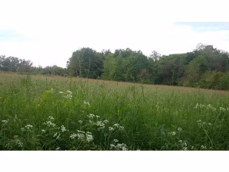 vente terrain 3700 m² chantérac (24190)