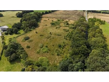 terrain de 3,6 ha avec hangar 260 m² sur dalle béton - charpente bois - accès poids lourds