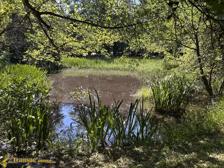terrain de loisirs avec étang