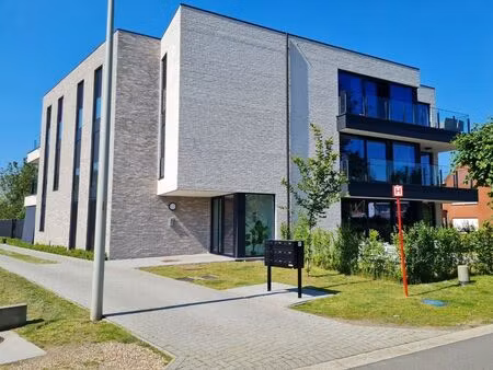appartement à louer à oude baan 27 zandhoven (rbw33924)