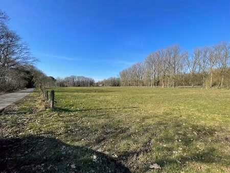 zeer mooi gelegen weilanden gelegen te vuilvoort herentals