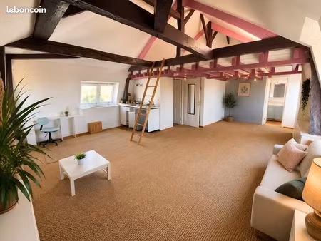 grand studio 39m² saint goustan