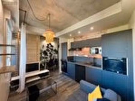 appartement meublé - lyon 3ème - cours albert thomas