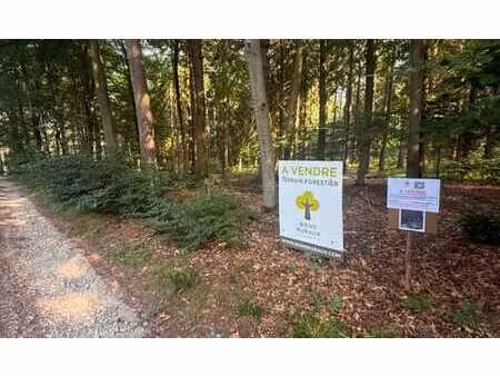 terrain forestier de 12ha16a à theux, près du golf