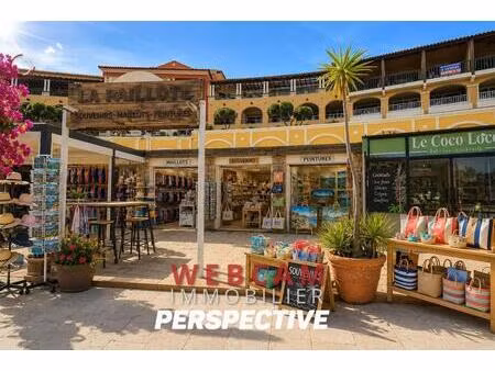 professionnel local commercial