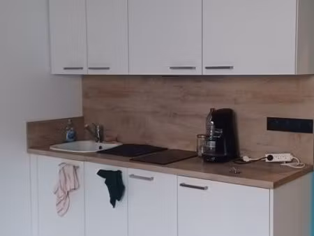 appartement t1bis entierement renove rue des teinturiers