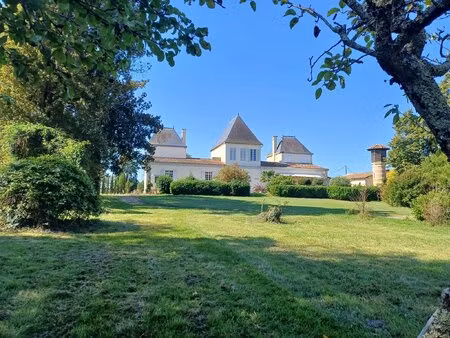 magnifique château avec vignoble proche de bordeaux