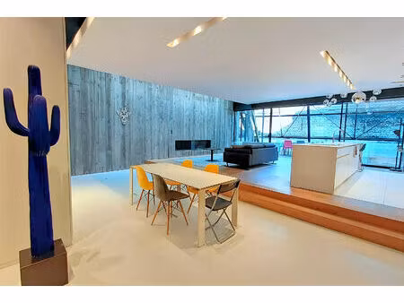 immeuble à usage mixte habitation et local professionnel lille 477 m2