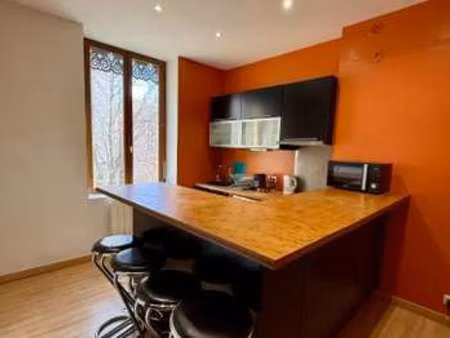 location appartement t1 meublé à villeurbanne (69100) : à louer t1 meublé / 38m² villeurba