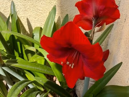 couple cherche à louer 4 pièces autour d'aix en provence