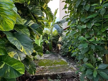 loue studio à ste anne en martinique