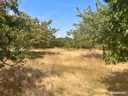 terrain avec fruitier