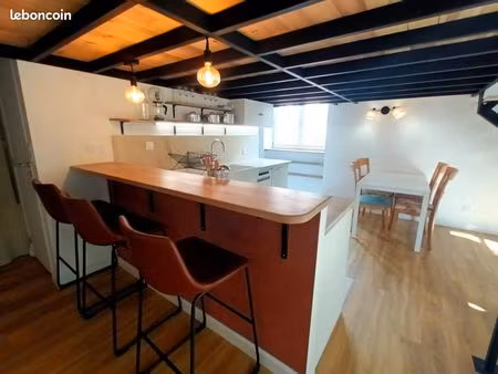 duplex 1 pièce 43 m²