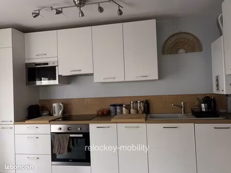 élégant appartement t2 meublé 50 m² avec grand balcon lyon 7ᵉ disponible début septembre 2