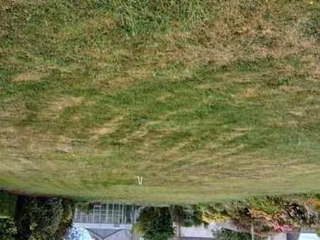 vente terrain au drennec (29860) : à vendre / le drennec