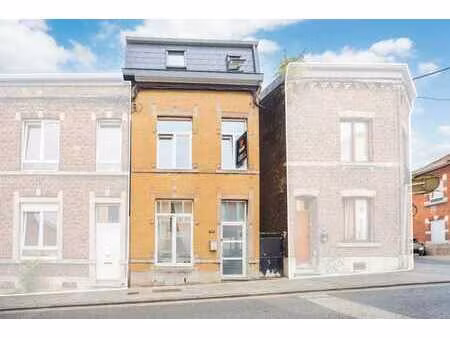 belle maison 3 façades entièrement rénovée