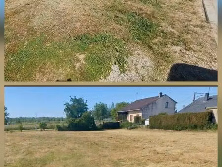 parcelles constructible