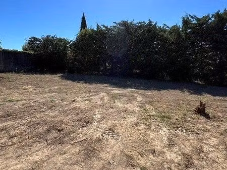 terrain 356 m² saint-laurent-des-arbres
