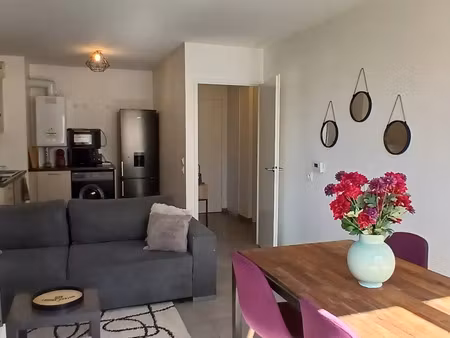 location appartement 2 pièces 43 m² à villeurbanne (69100)