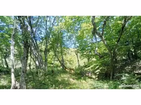 terrain forêt 11 ha