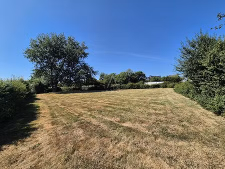terrain