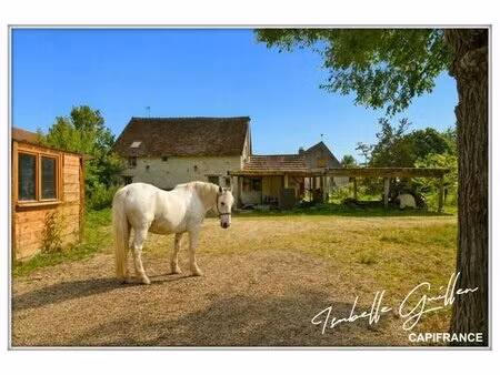 propriété à vendre à touchay : 2 maisons avec 4.5 hectares touchay (18)