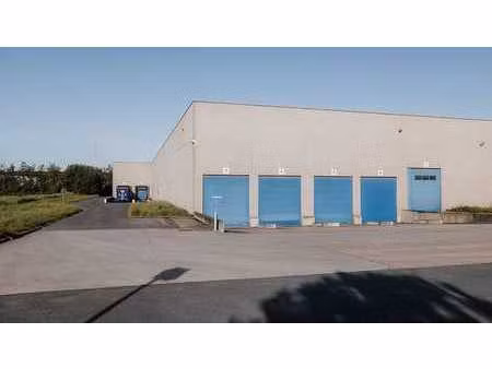 vaste entrepôt de 11.928 m² à louer à boortmeerbeek