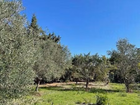 terrain constructible à vendre