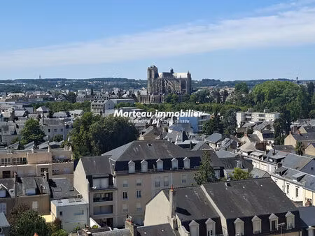 appartement le mans 7 pièce(s) 172 m2