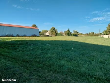 terrain constructible