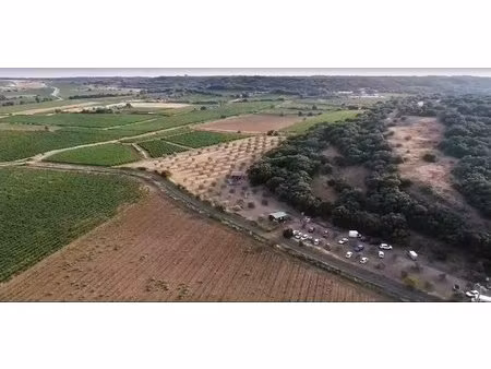 terrain boisé – forêt