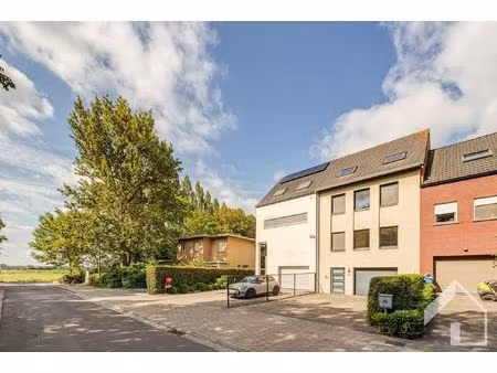 huis te koop in ekeren met 5 slaapkamers