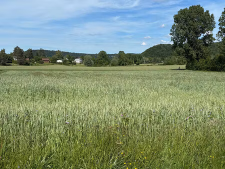 terrain doucier 1640 m2 - zone artisanale et commerciale